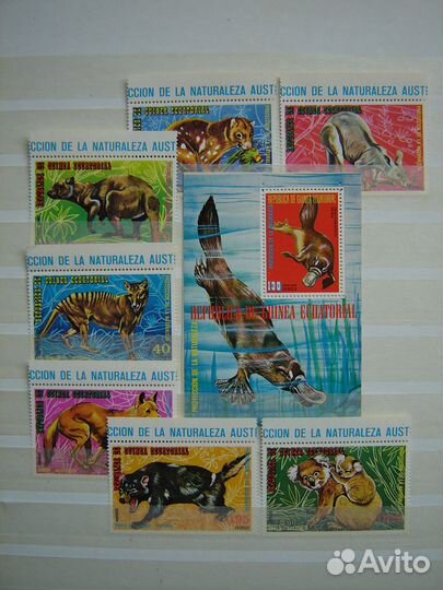 Фауна. Выпуски Экваториальной Гвинеи