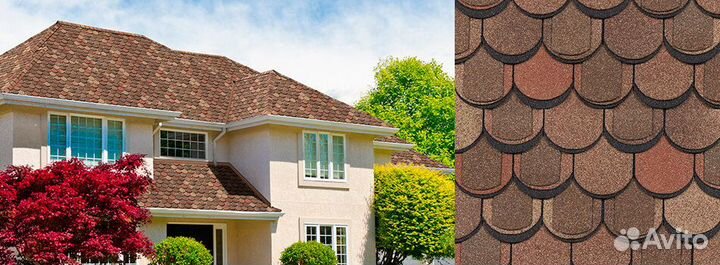 Шинглас Атлантика