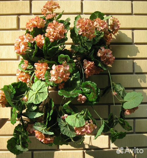 Цветы декор Герань