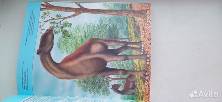 Книга вымершие животные