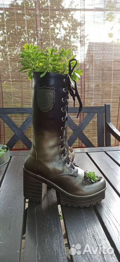 Многолетние цветы. Суккуленты, молодило. Для сада