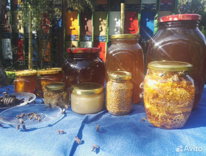 Обслуживание вашей пасеки пчеловод