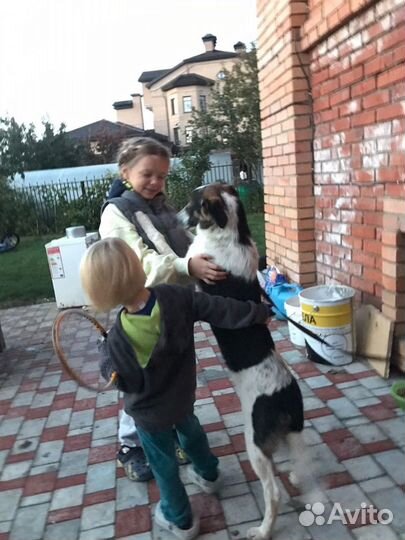 Очаровашка Джек