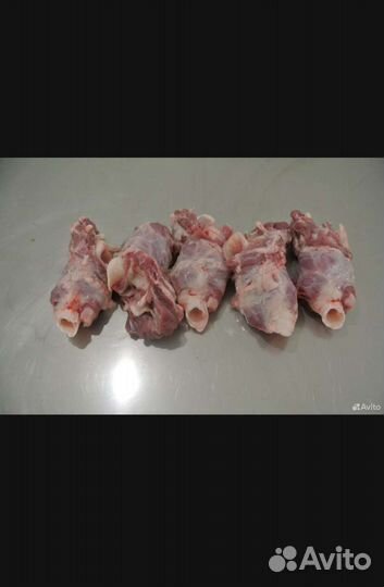 Кости для собак, обрезки говяжьи,семенники, вымя