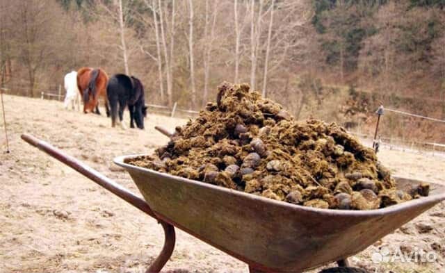 Конский навоз,перегной,сыпец
