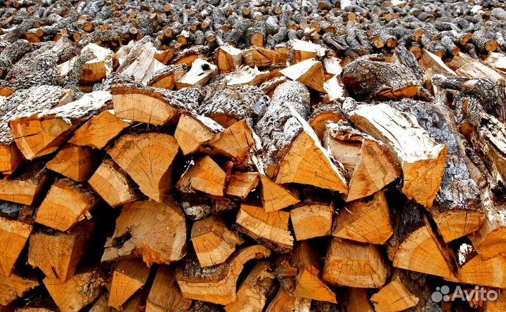 Дрова березовые