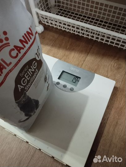 Корм для кошек royal canin