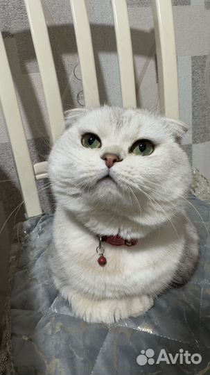 Вчзка