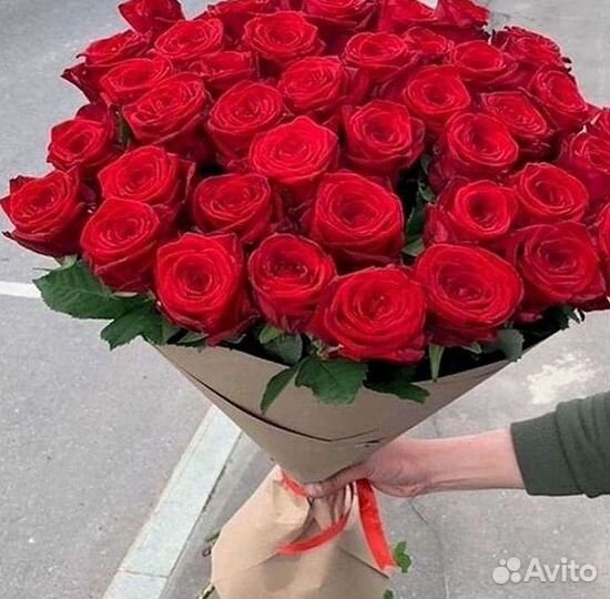 101 роза цветы букеты доставка 25 51 101 роза