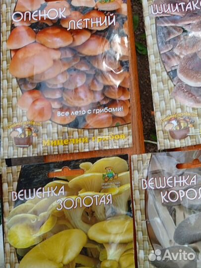 Грибница мицелий для выращ грибов дома шамп. и пр