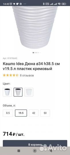 Финиковая-королевская пальма