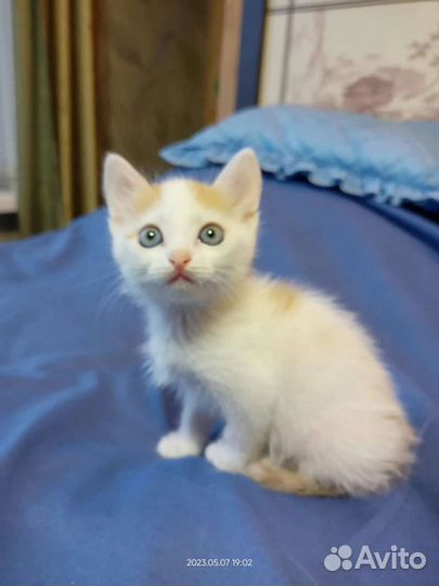 Девочка 1,5 месяца