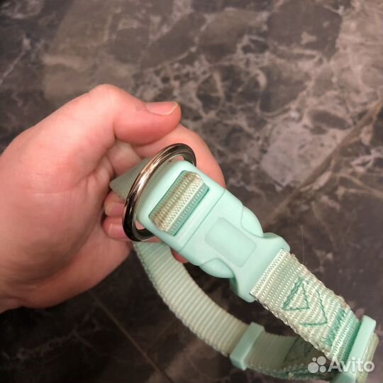 Амуниция для собак