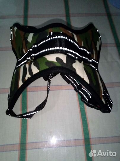 Товары для животных