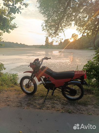 Зид пилот 50