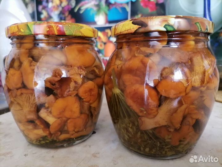 Грибы лисички маринованные