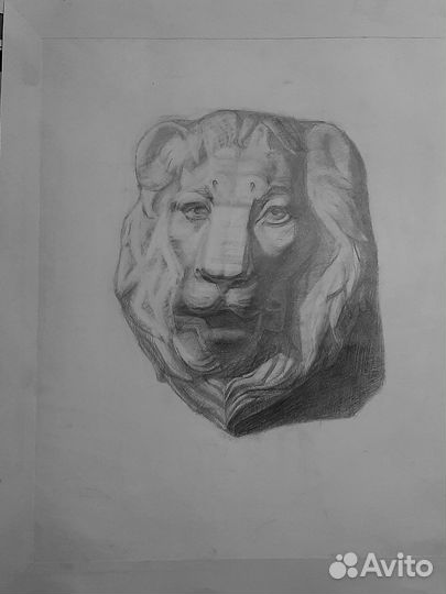 Академический рисунок (1 курс)