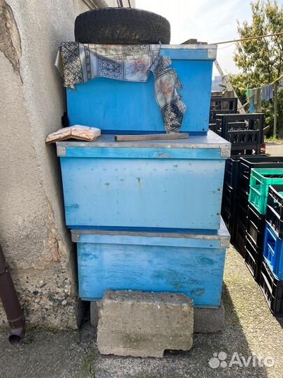 Улей для пчел