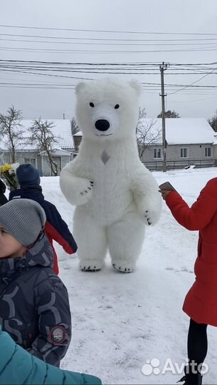 Белый мишка поздравление