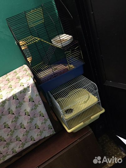 Клетка для грызунов бу