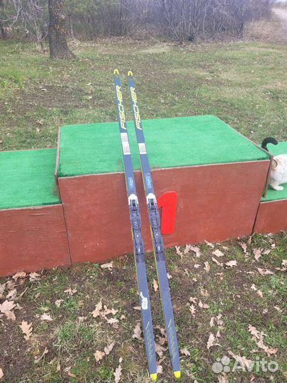 Лыжи беговые fisher speedmax jr