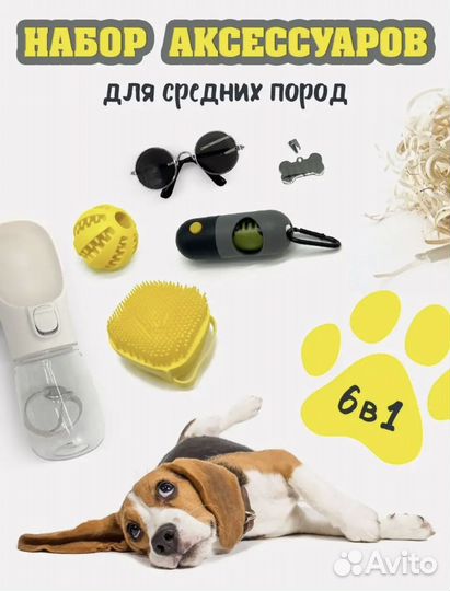 Набор аксессуаров для собак
