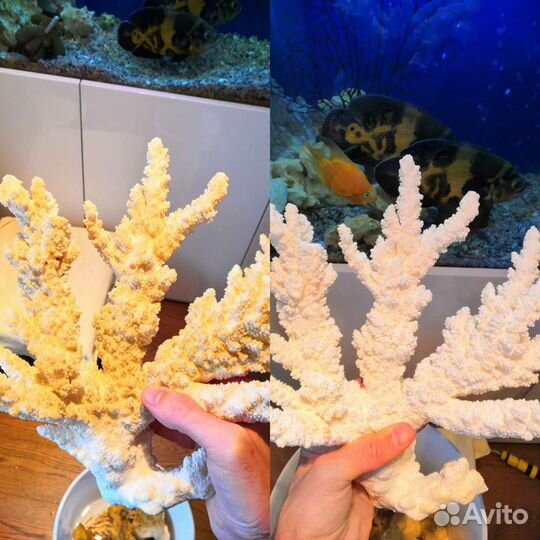 Обслуживание чистка аквариума