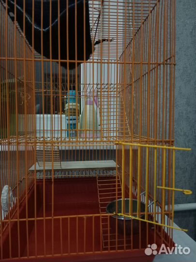 Клетка для грызунов большая