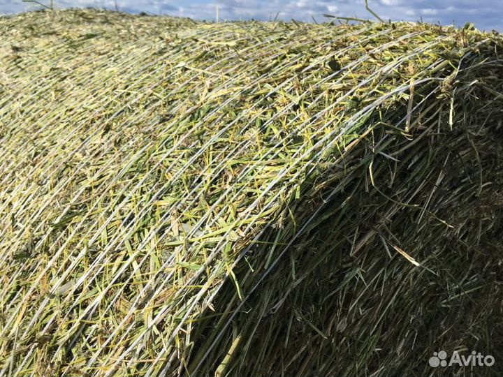 Пресс-подборщик Kverneland 6716, 2023