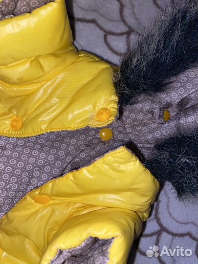 Куртка для собаки