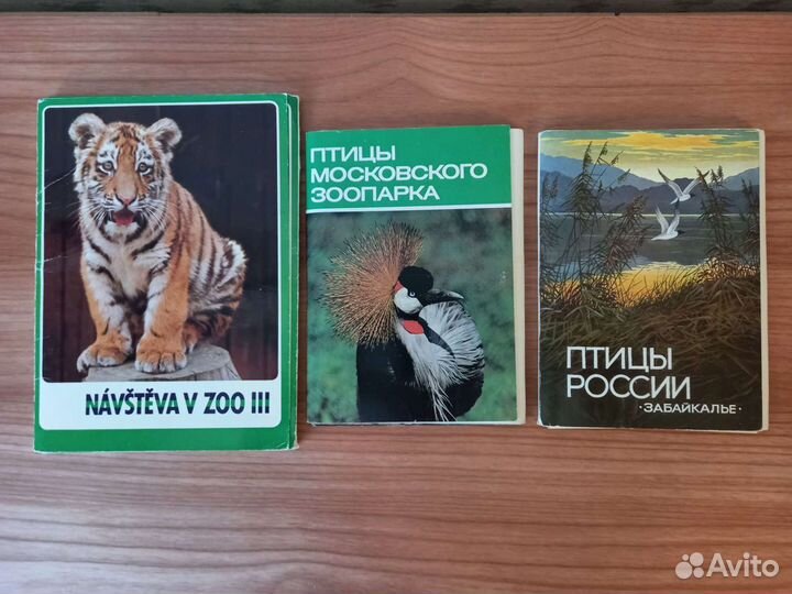 Наборы открыток Птицы