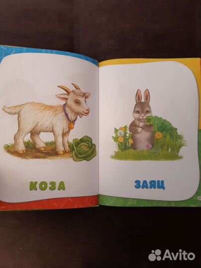 Годовой курс занятий