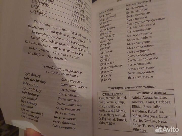 Самоучитель чешского языка