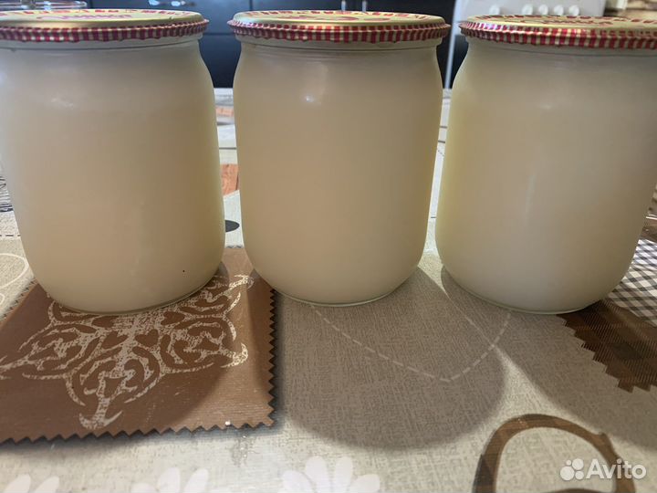 Барсучий жир натуральный, свежий