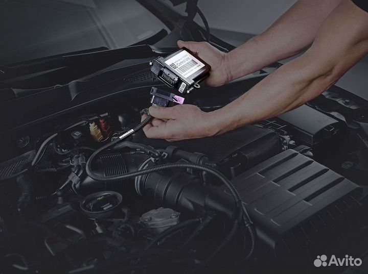 Прошивка Евро 2 / EGR / DPF/Чип Тюнинг