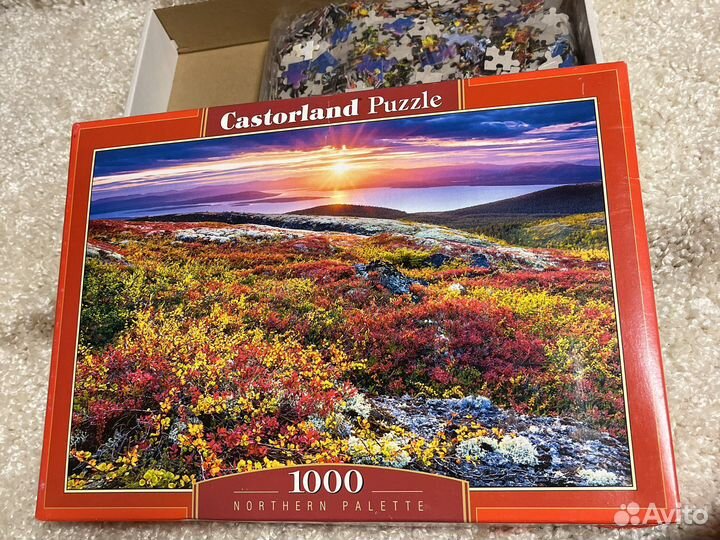 Пазлы 1000 деталей