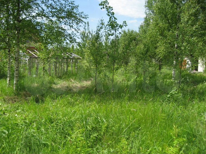 Участок 20 сот. (СНТ, ДНП)