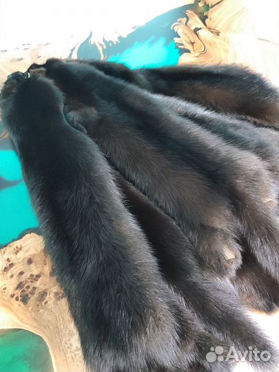 Соболь шкурки