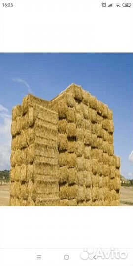 Сено солома в тюках