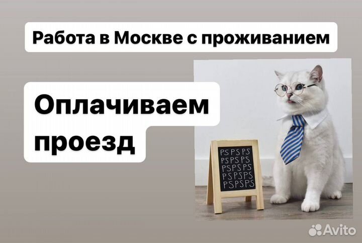 Вахта 20/20.Работа Сортировщиками