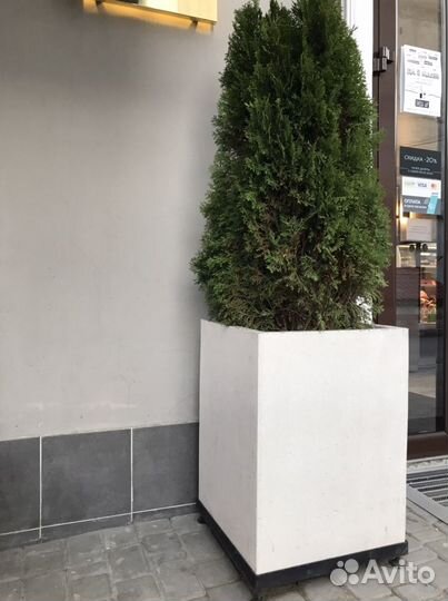 Клумба-кашпо