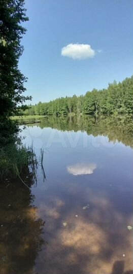 Участок 3 га (СНТ, ДНП)