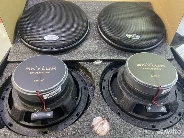 Акустическая система Skylor EVO6