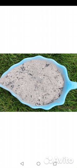 Зола берёзовая