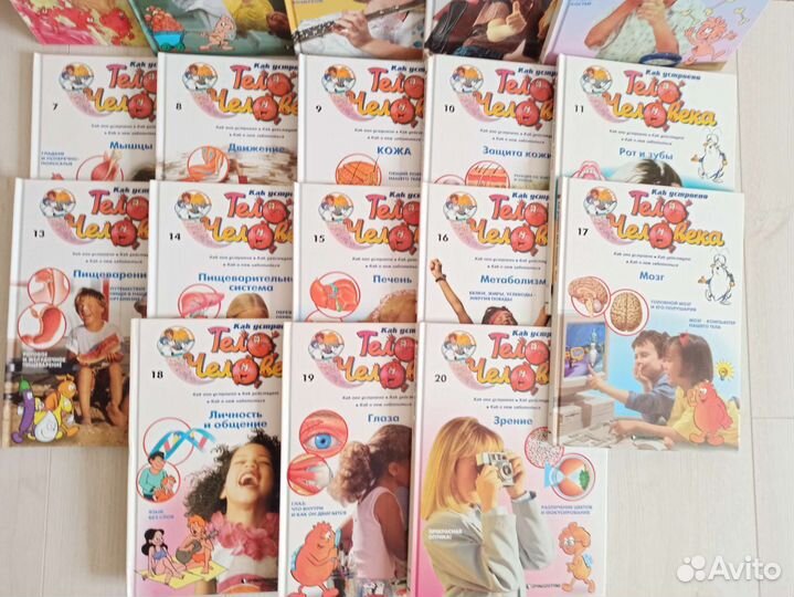 Книги /Как устроено тело человека