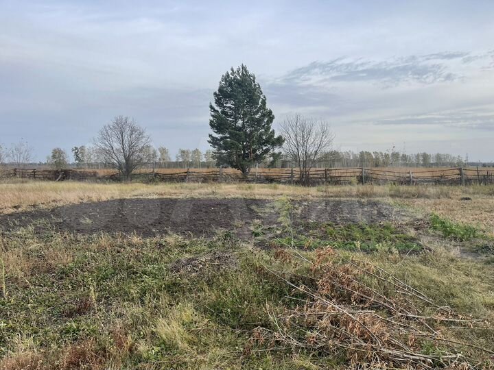 Дом 45 м² на участке 48 сот.