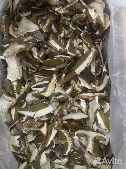 Грибы, белый сухой гриб