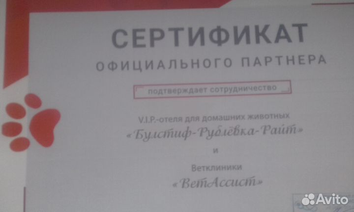 Зоогостиница 