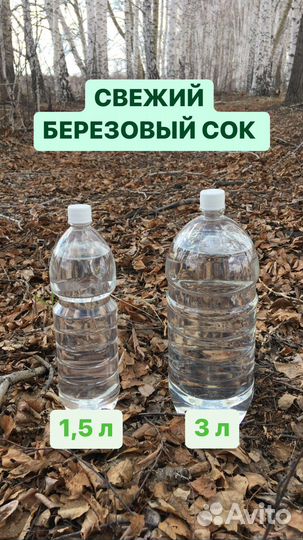 Березовый сок