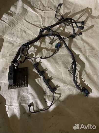 Проводка моторная ford focus 2 1.6